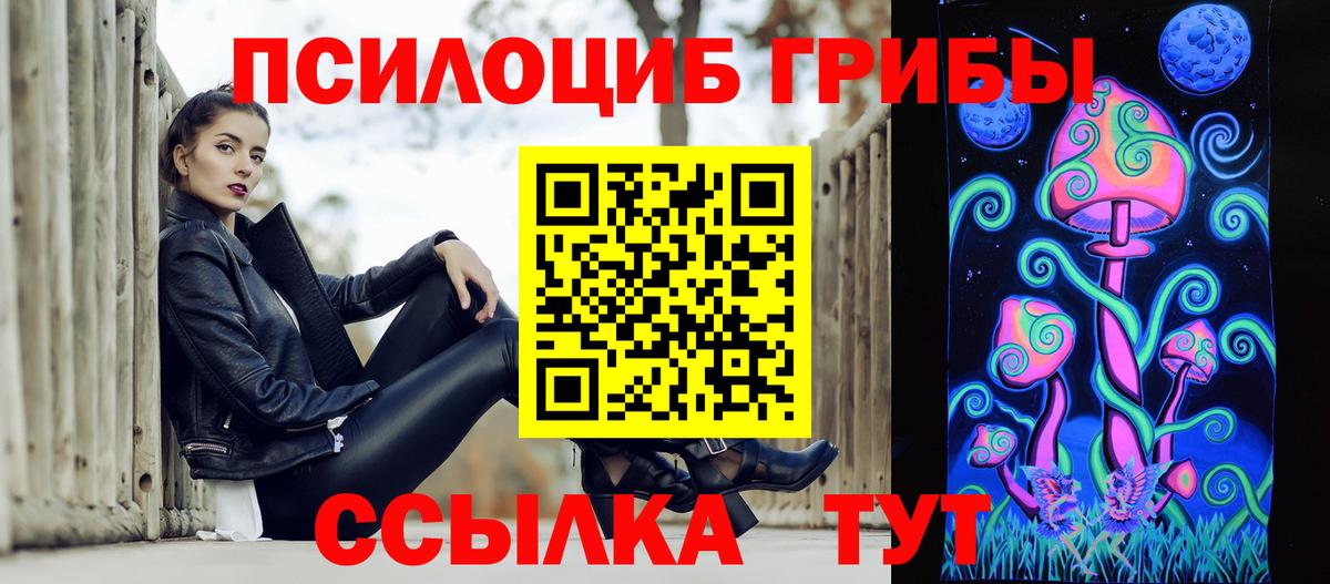 Галлюциногенные грибы GOLDEN TEACHER  закладки  Электрогорск  Вход с VPN 